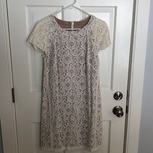 Loft cotton lace shift dress, size 8. Tags on.